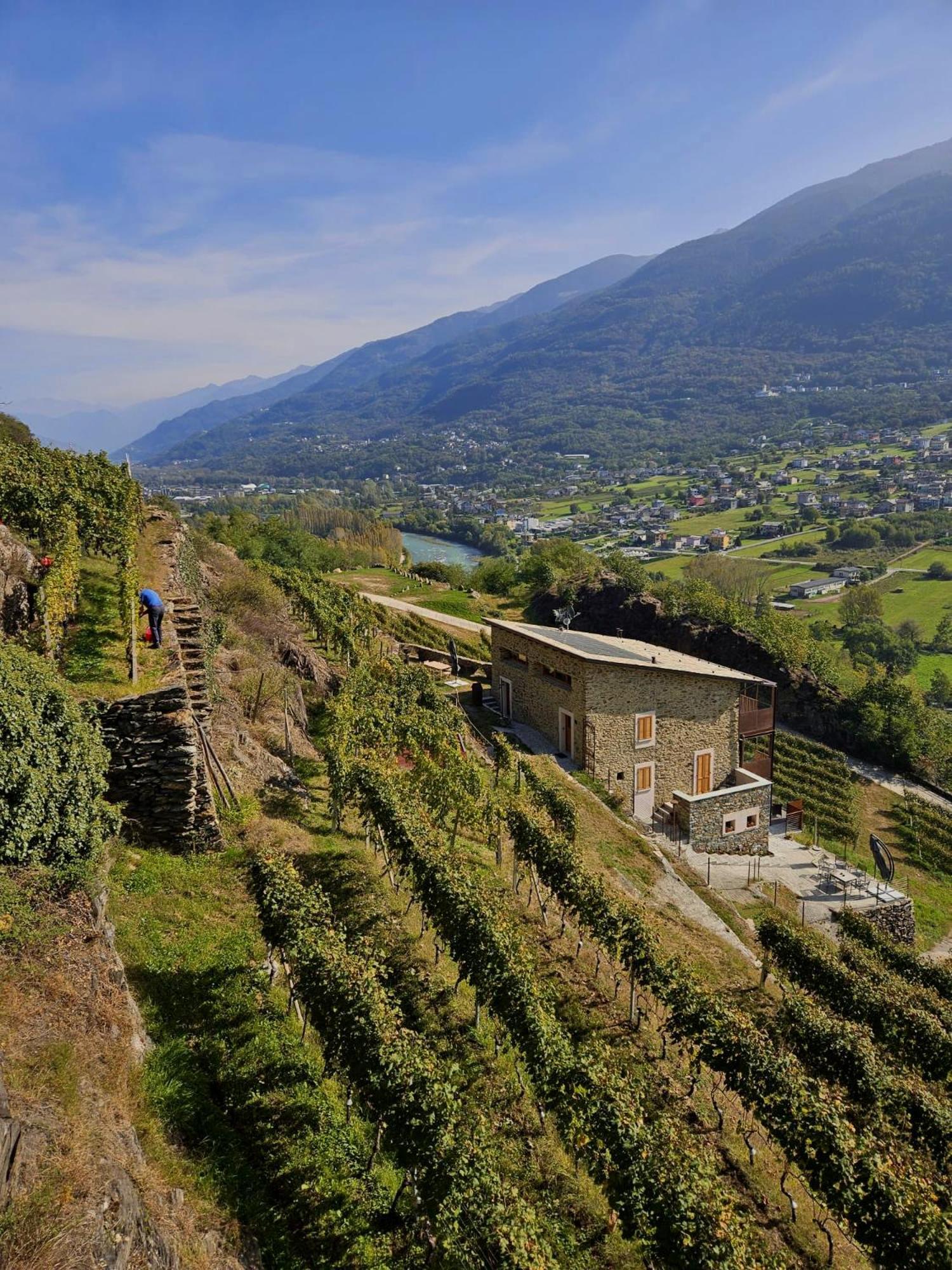 Ca' Barroni Agriresort Sondrio Dış mekan fotoğraf